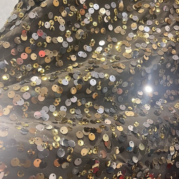 WD•NY SPARKLY SEQUINS - Picture 5 of 5